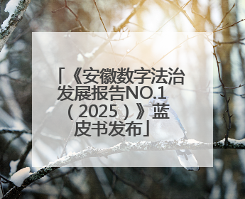 《安徽数字法治发展报告NO.1（2025）》蓝皮书发布