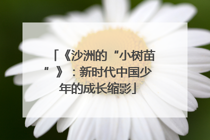 《沙洲的“小树苗”》：新时代中国少年的成长缩影