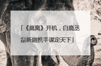 《莫离》开机，白鹿丞磊新剧携手谋定天下