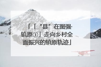 「“县”在图强·镇原③」走向乡村全面振兴的镇原轨迹