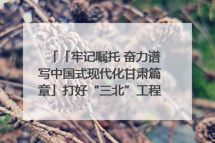 「牢记嘱托 奋力谱写中国式现代化甘肃篇章」打好“三北”工程攻坚战 筑牢国家西部生态安全屏障