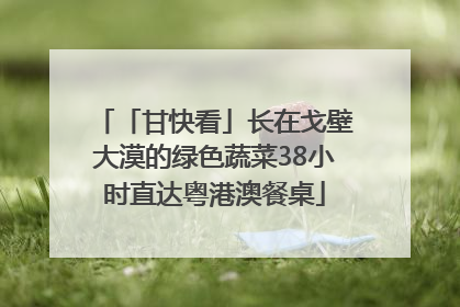 「甘快看」长在戈壁大漠的绿色蔬菜38小时直达粤港澳餐桌