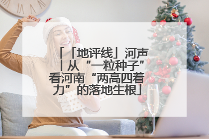 「地评线」河声丨从“一粒种子”看河南“两高四着力”的落地生根