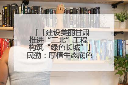 「建设美丽甘肃 推进“三北”工程 构筑“绿色长城”」民勤：厚植生态底色 筑牢绿色屏障