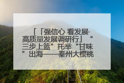「强信心 看发展·高质量发展调研行」“三步上篮”托举“甘味”出海——秦州大樱桃高质量发展动作分解