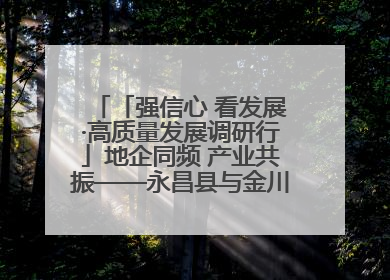 「强信心 看发展·高质量发展调研行」地企同频 产业共振——永昌县与金川集团地企融合推动重大项目建设