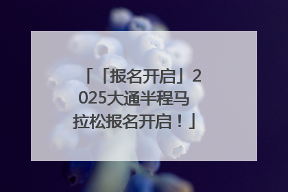 「报名开启」2025大通半程马拉松报名开启！