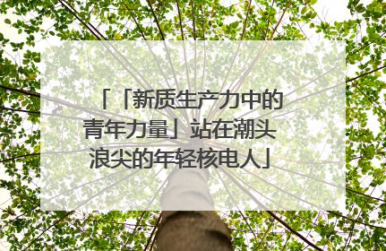 「新质生产力中的青年力量」站在潮头浪尖的年轻核电人