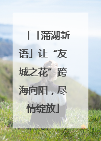 「蒲湖新语」让“友城之花”跨海向阳，尽情绽放