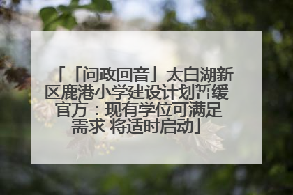 「问政回音」太白湖新区鹿港小学建设计划暂缓 官方：现有学位可满足需求 将适时启动