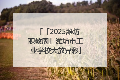 「2025潍坊职教周」潍坊市工业学校大放异彩