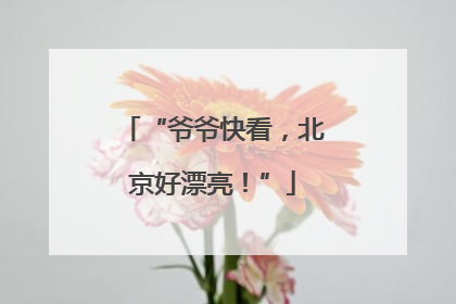 “爷爷快看，北京好漂亮！”