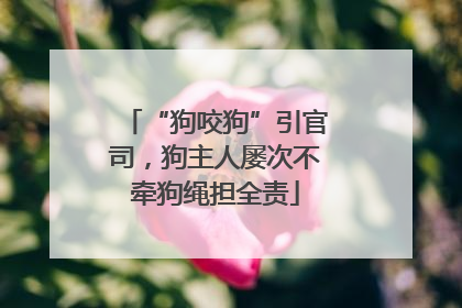 “狗咬狗”引官司，狗主人屡次不牵狗绳担全责