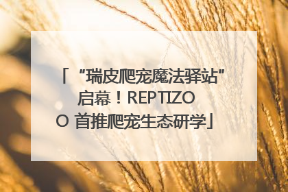“瑞皮爬宠魔法驿站” 启幕！REPTIZOO 首推爬宠生态研学