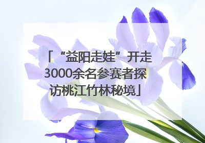 “益阳走娃”开走 3000余名参赛者探访桃江竹林秘境