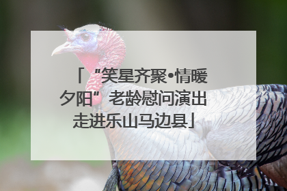 “笑星齐聚•情暖夕阳”老龄慰问演出走进乐山马边县