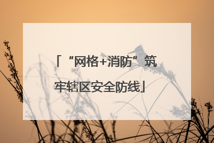 “网格+消防”筑牢辖区安全防线