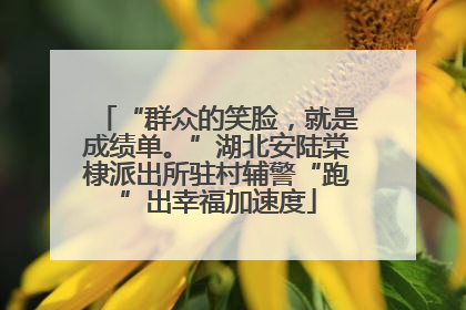 “群众的笑脸，就是成绩单。”湖北安陆棠棣派出所驻村辅警“跑”出幸福加速度