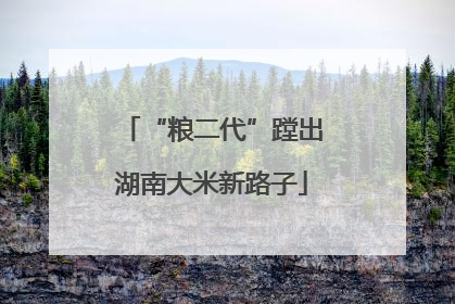 “粮二代”蹚出湖南大米新路子