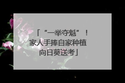 “一举夺魁”！家人手捧自家种植向日葵送考