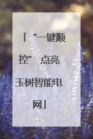 “一键顺控” 点亮玉树智能电网