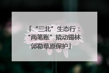 “三北”生态行：“两笔账”撬动锡林郭勒草原保护