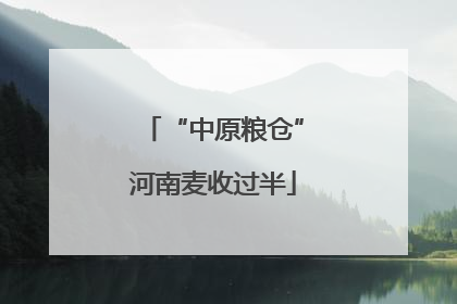 “中原粮仓”河南麦收过半