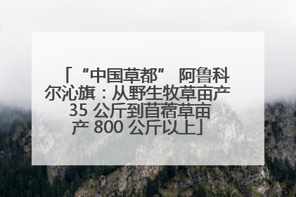 “中国草都” 阿鲁科尔沁旗：从野生牧草亩产 35 公斤到苜蓿草亩产 800 公斤以上