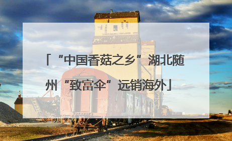 “中国香菇之乡”湖北随州“致富伞”远销海外