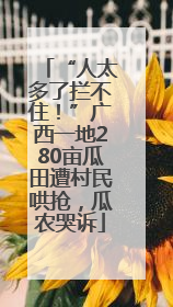 “人太多了拦不住！”广西一地280亩瓜田遭村民哄抢，瓜农哭诉