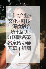 “产业+文化+科技”深度融合 第七届九江国际名茶名泉博览会开幕（组图）