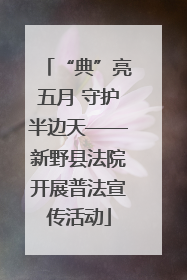 “典”亮五月 守护半边天——新野县法院开展普法宣传活动