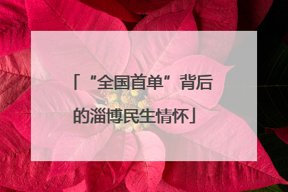 “全国首单”背后的淄博民生情怀