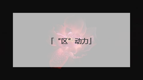 “区”动力