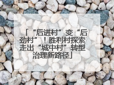 “后进村”变“后劲村”！胜利村探索走出“城中村”转型治理新路径