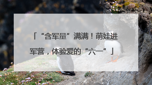 “含军量”满满！萌娃进军营，体验爱的“六一”