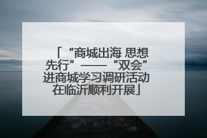 “商城出海 思想先行”——“双会”进商城学习调研活动在临沂顺利开展