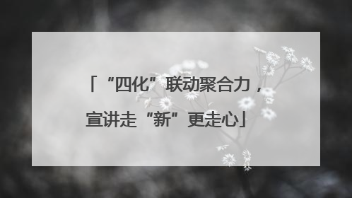 “四化”联动聚合力，宣讲走“新”更走心
