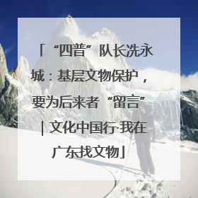 “四普”队长冼永城：基层文物保护，要为后来者“留言”｜文化中国行·我在广东找文物