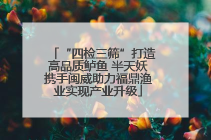“四检三筛”打造高品质鲈鱼 半天妖携手闽威助力福鼎渔业实现产业升级