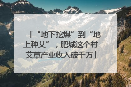 “地下挖煤”到“地上种艾”，肥城这个村艾草产业收入破千万