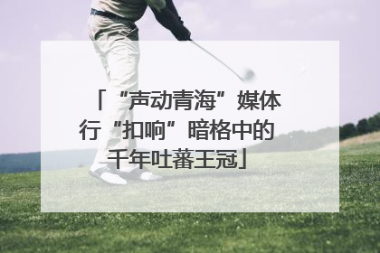“声动青海”媒体行“扣响”暗格中的千年吐蕃王冠