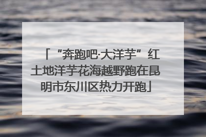 “奔跑吧·大洋芋”红土地洋芋花海越野跑在昆明市东川区热力开跑