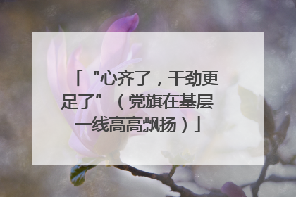 “心齐了，干劲更足了”（党旗在基层一线高高飘扬）