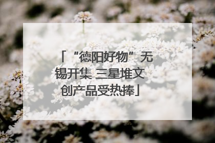 “德阳好物”无锡开集 三星堆文创产品受热捧
