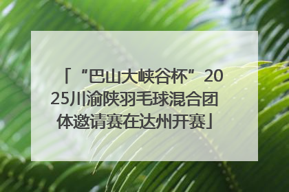 “巴山大峡谷杯”2025川渝陕羽毛球混合团体邀请赛在达州开赛