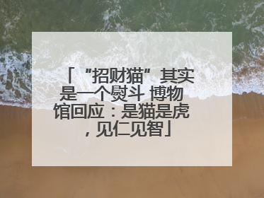 “招财猫”其实是一个熨斗 博物馆回应：是猫是虎，见仁见智