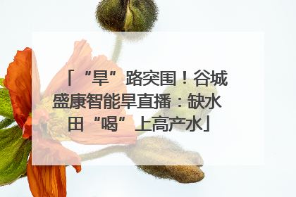 “旱”路突围！谷城盛康智能旱直播：缺水田“喝”上高产水