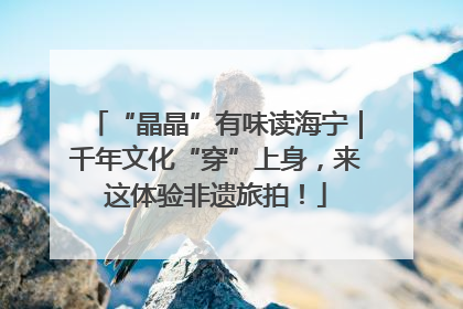 “晶晶”有味读海宁｜千年文化“穿”上身，来这体验非遗旅拍！