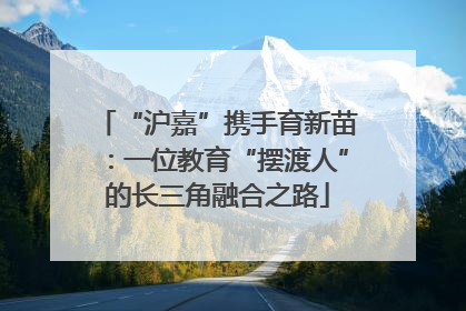 “沪嘉”携手育新苗：一位教育“摆渡人”的长三角融合之路